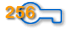 256